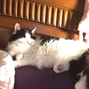 Meet your Posher, Cindy